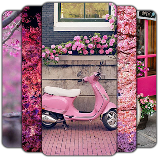 Pink Wallpaper 🌸